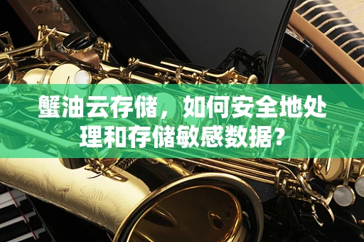 蟹油云存储，如何安全地处理和存储敏感数据？