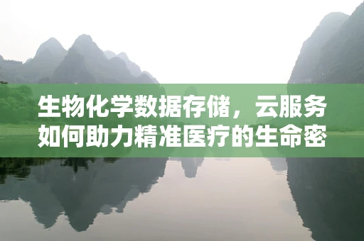生物化学数据存储，云服务如何助力精准医疗的生命密码管理？