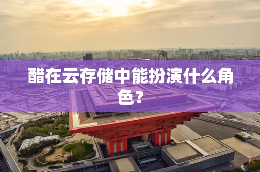 醋在云存储中能扮演什么角色？