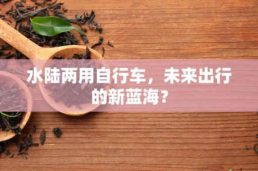 水陆两用自行车，未来出行的新蓝海？