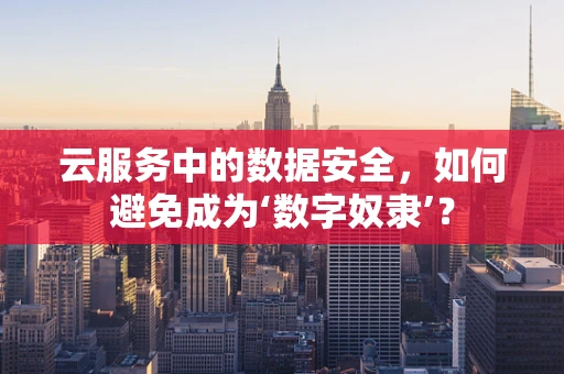 云服务中的数据安全，如何避免成为‘数字奴隶’？