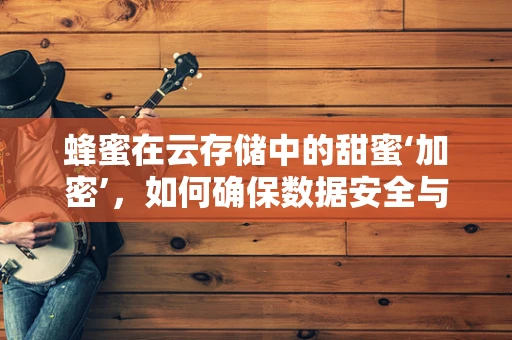 蜂蜜在云存储中的甜蜜‘加密’，如何确保数据安全与隐私？