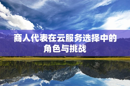 商人代表在云服务选择中的角色与挑战