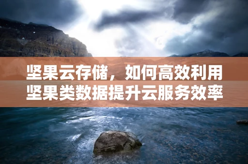 坚果云存储，如何高效利用坚果类数据提升云服务效率？