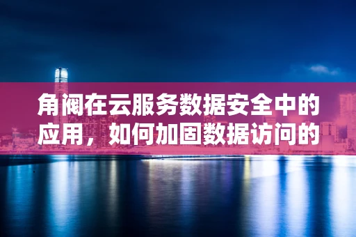 角阀在云服务数据安全中的应用，如何加固数据访问的‘阀门’？