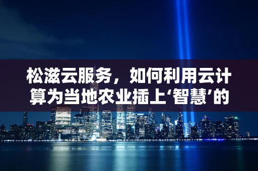 松滋云服务，如何利用云计算为当地农业插上‘智慧’的翅膀？