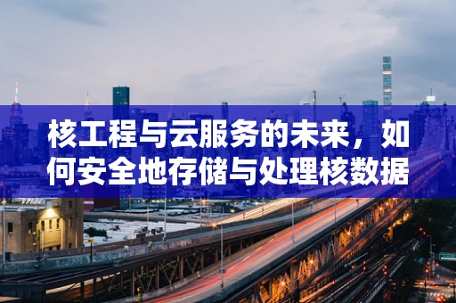 核工程与云服务的未来，如何安全地存储与处理核数据？