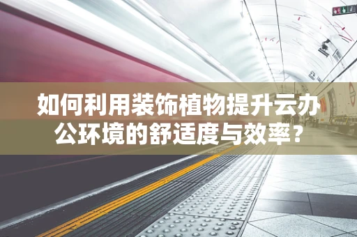 如何利用装饰植物提升云办公环境的舒适度与效率？
