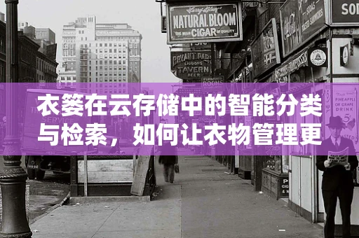 衣篓在云存储中的智能分类与检索，如何让衣物管理更高效？