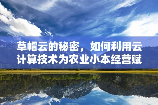 草帽云的秘密，如何利用云计算技术为农业小本经营赋能？