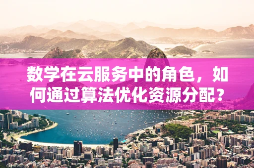 数学在云服务中的角色，如何通过算法优化资源分配？