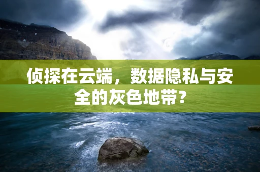 侦探在云端，数据隐私与安全的灰色地带？