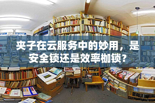 夹子在云服务中的妙用，是安全锁还是效率枷锁？