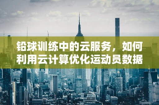 铅球训练中的云服务，如何利用云计算优化运动员数据管理？