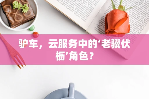驴车，云服务中的‘老骥伏枥’角色？
