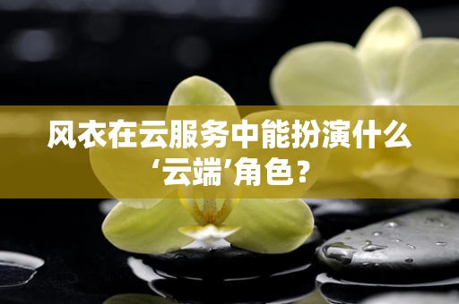 风衣在云服务中能扮演什么‘云端’角色？