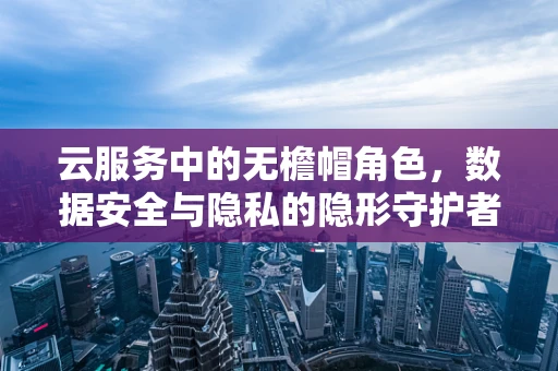 云服务中的无檐帽角色，数据安全与隐私的隐形守护者？