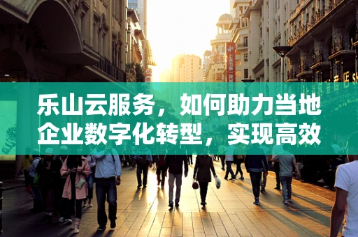 乐山云服务，如何助力当地企业数字化转型，实现高效运营？