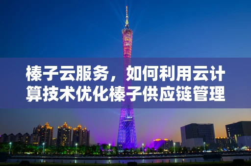 榛子云服务，如何利用云计算技术优化榛子供应链管理？