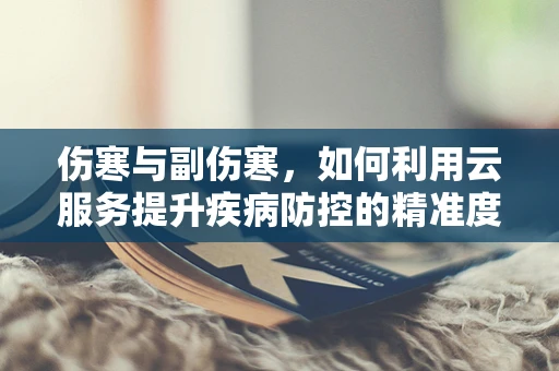 伤寒与副伤寒，如何利用云服务提升疾病防控的精准度？