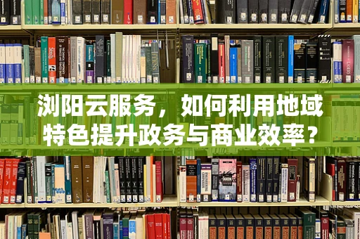 浏阳云服务，如何利用地域特色提升政务与商业效率？