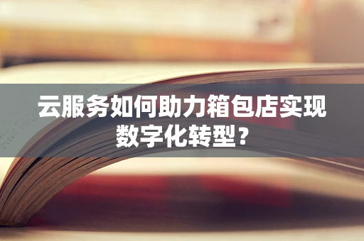 云服务如何助力箱包店实现数字化转型？