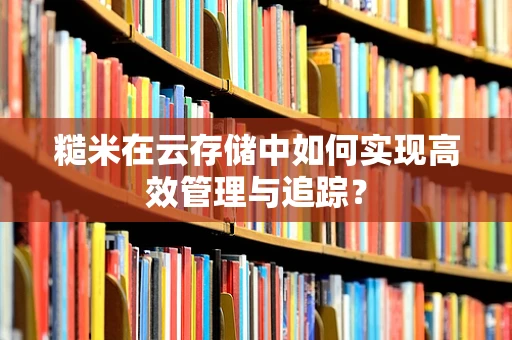 糙米在云存储中如何实现高效管理与追踪？