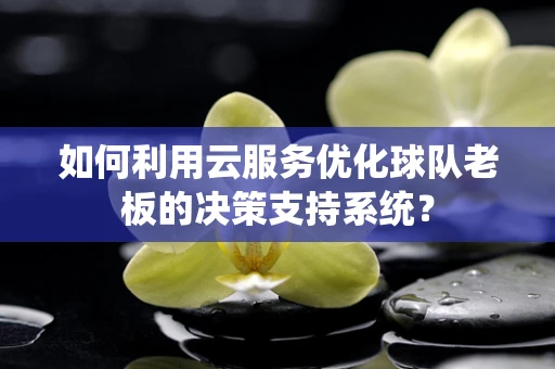 如何利用云服务优化球队老板的决策支持系统？