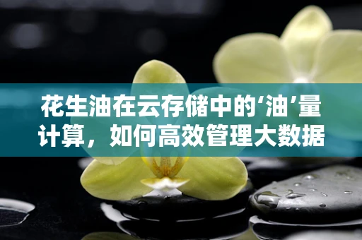花生油在云存储中的‘油’量计算，如何高效管理大数据？
