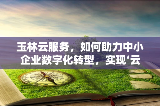 玉林云服务，如何助力中小企业数字化转型，实现‘云端’飞跃？