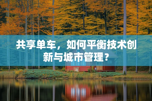 共享单车，如何平衡技术创新与城市管理？