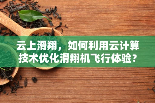 云上滑翔，如何利用云计算技术优化滑翔机飞行体验？