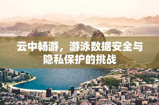 云中畅游，游泳数据安全与隐私保护的挑战