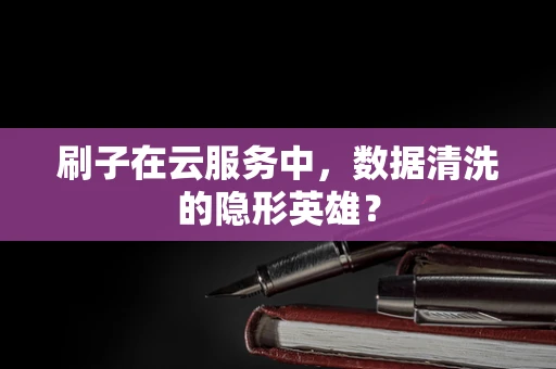 刷子在云服务中，数据清洗的隐形英雄？