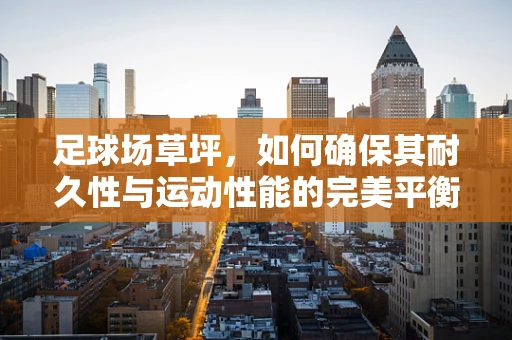 足球场草坪，如何确保其耐久性与运动性能的完美平衡？