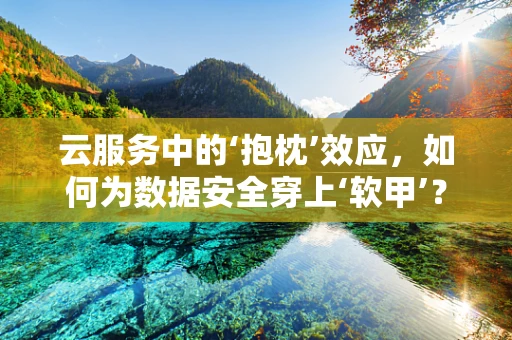 云服务中的‘抱枕’效应，如何为数据安全穿上‘软甲’？
