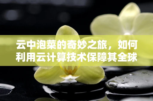 云中泡菜的奇妙之旅，如何利用云计算技术保障其全球供应链的稳定与安全？