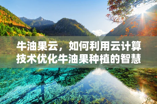 牛油果云，如何利用云计算技术优化牛油果种植的智慧农业解决方案？