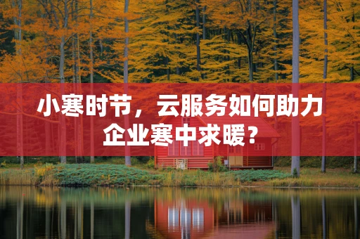 小寒时节，云服务如何助力企业寒中求暖？