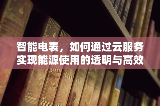 智能电表，如何通过云服务实现能源使用的透明与高效？