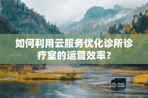 如何利用云服务优化诊所诊疗室的运营效率？