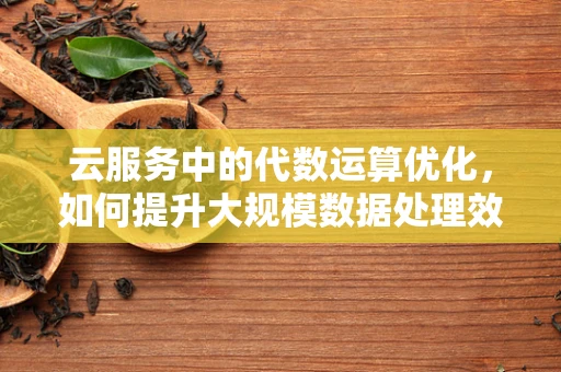云服务中的代数运算优化，如何提升大规模数据处理效率？