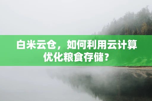 白米云仓，如何利用云计算优化粮食存储？
