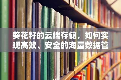 葵花籽的云端存储，如何实现高效、安全的海量数据管理？