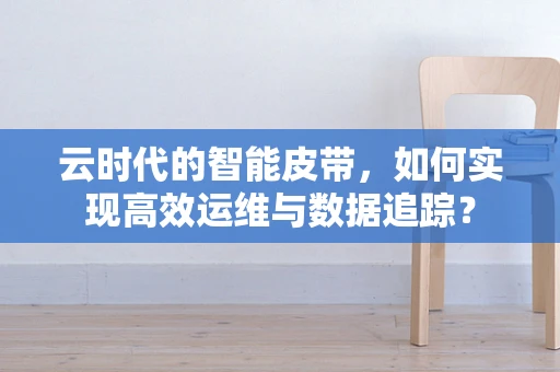 云时代的智能皮带，如何实现高效运维与数据追踪？