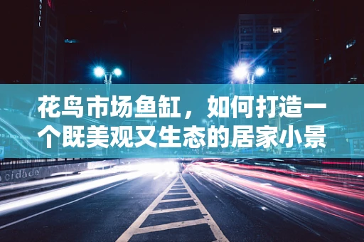 花鸟市场鱼缸，如何打造一个既美观又生态的居家小景？