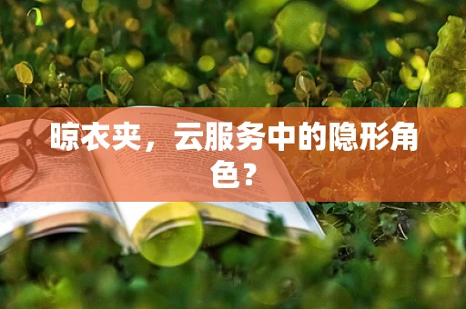 晾衣夹，云服务中的隐形角色？