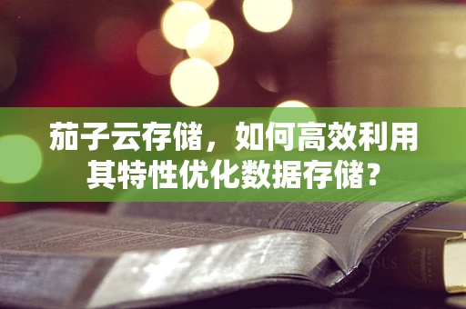 茄子云存储，如何高效利用其特性优化数据存储？