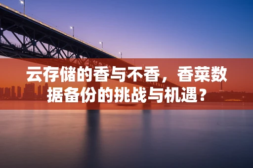 云存储的香与不香，香菜数据备份的挑战与机遇？