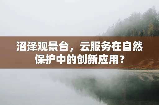 沼泽观景台，云服务在自然保护中的创新应用？